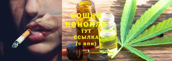 прущие крисы Абаза