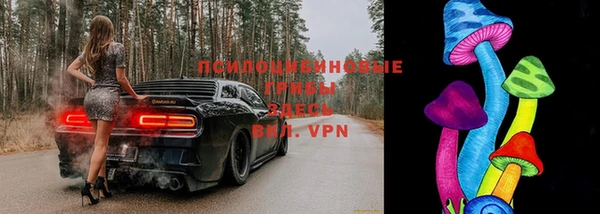 прущие крисы Абаза
